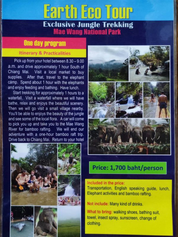 Eco Earth Tour One Day