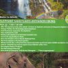 Living green - Image 2