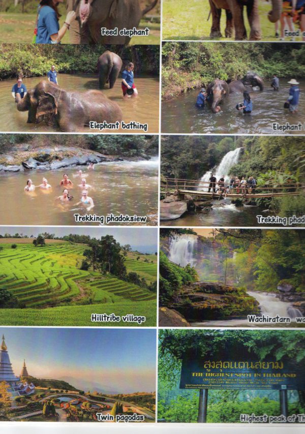 Living green - Image 3