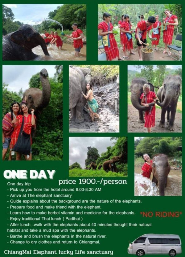 Chiangmai Elephant lucky life sanctuary  (1 Day)